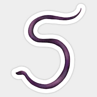 5 - Common purple-glossed snake Sticker